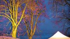 Stimmung am Stephansberg Foto: p