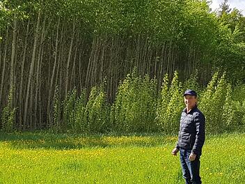 Matthias Hoch vor seinem Energiewald bei Breitbrunn. Ein Teilstück hat er im letzten Jahr geerntet, die Pappeln haben schon wieder aus dem Wurzelstock ausgetrieben; der Rest der Pappeln ist siebenjähriger Bestand.Brigitte Krause
