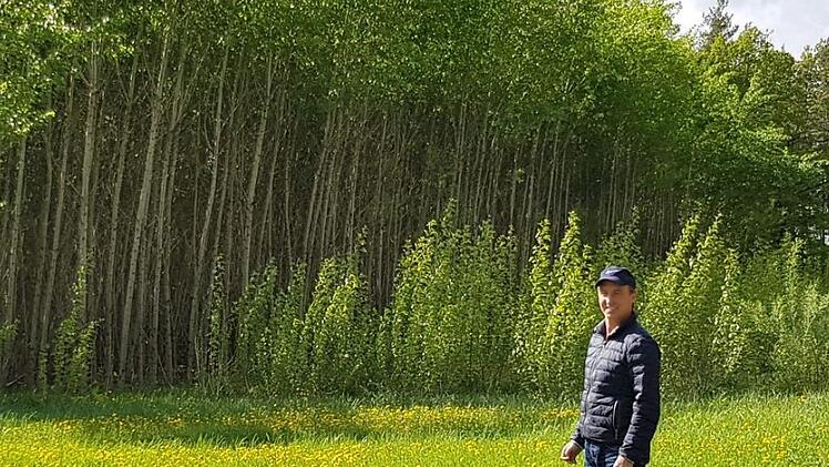 Matthias Hoch vor seinem Energiewald bei Breitbrunn. Ein Teilstück hat er im letzten Jahr geerntet, die Pappeln haben schon wieder aus dem Wurzelstock ausgetrieben; der Rest der Pappeln ist siebenjähriger Bestand.Brigitte Krause