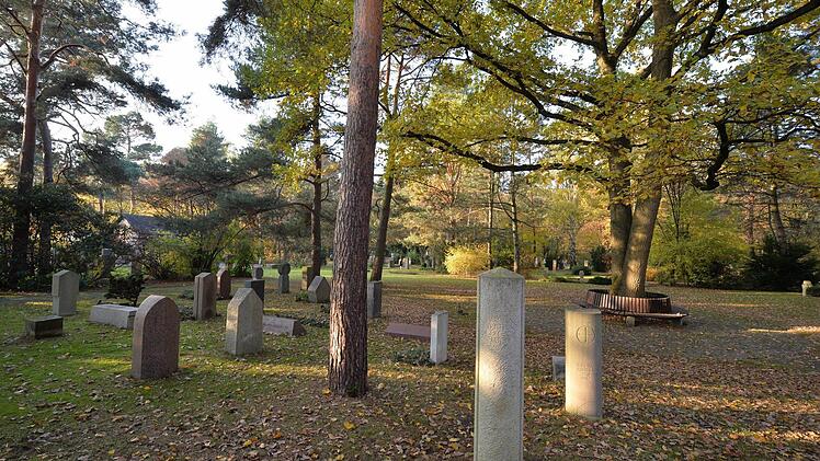 Waldbäume gehören zum Leitfriedhof - im Hintergrund die rund 100-jährige Eiche mit Ruhebank. Foto: Ronald Rinklef