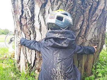 Einen Baum zu umarmen, den man nicht umfassen kann, diese Aufgabe meisterte Miko Kubo.