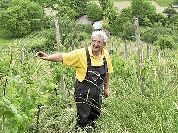 Den völlig verwilderten Weinberg am Wachthügel in Prappach bringt Gerhard Hölzer wieder auf Vordermann.  Foto: Gerold Snater