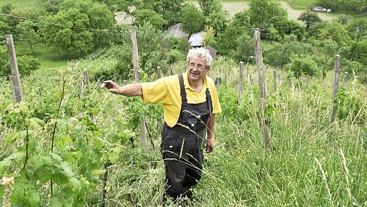 Den völlig verwilderten Weinberg am Wachthügel in Prappach bringt Gerhard Hölzer wieder auf Vordermann.  Foto: Gerold Snater