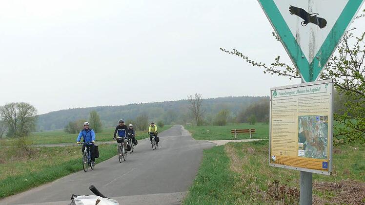 Refugium für zahlreiche Vogelarten: Das Naturschutzgebiet Mainaue. Nahe dem Haßfurter Flugplatz gelegen, lässt sich dieses Biotop auch mit Kindern leicht erradeln. Fotos: Manfred Wagner