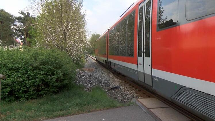 Foto: News5/Grundmann