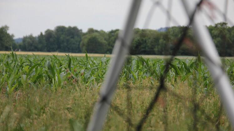 Das Tor liegt neben dem früheren Fußballplatz, den heute ein Landwirt zum Anbau nutzt. Foto: Marco Meißner