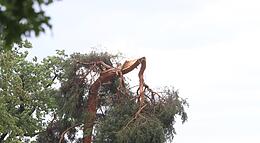 Vorschaubild