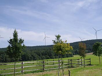 Als am 21. September 2018 die Lärm-Messungen am Windpark Hain-Ost durchgeführt wurden, liefen die Anlagen nach Angaben des Landratsamts bei maximaler Leistung. Das gehe aus den Daten hervor, die die Betreiberfirma SWI zuvor übermittelt hatte. Foto: Archiv/Marco Meißner