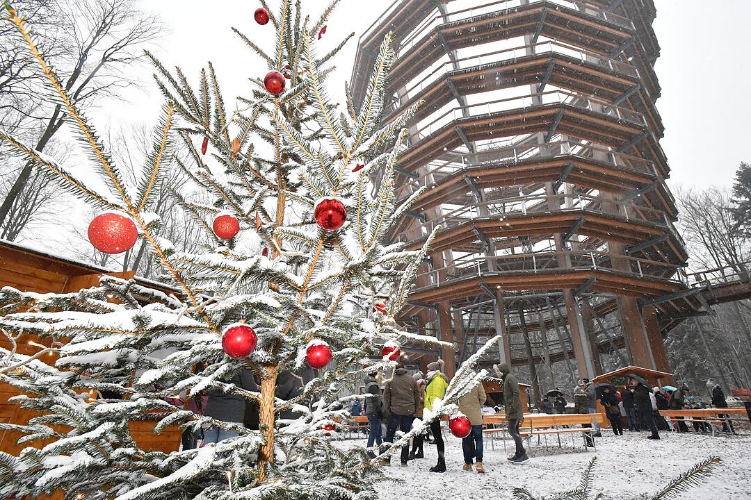 Weihnachtsmarkt am Baumwipfelpfad Ebrach