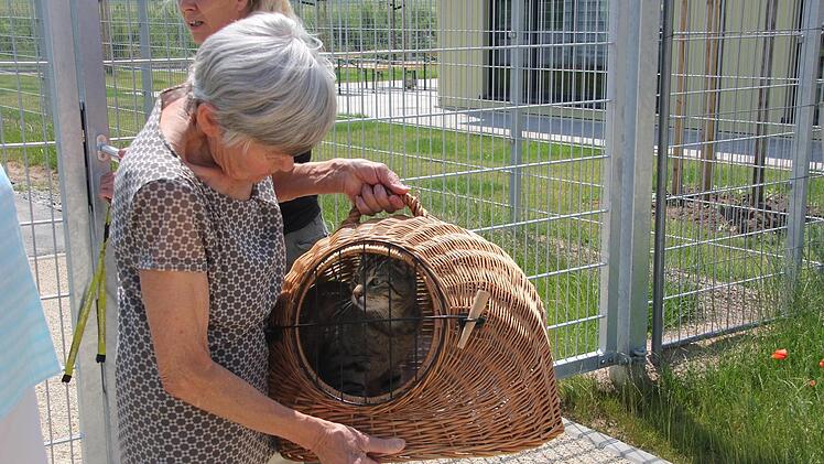 Erna Volk mit einem Fundkater