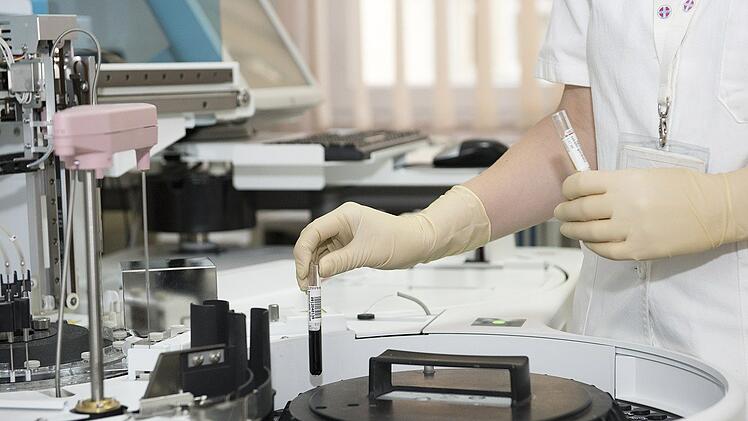 Erkenntnisse der Zellforschung helfen bei der Entwicklung medizinischer Therapien
