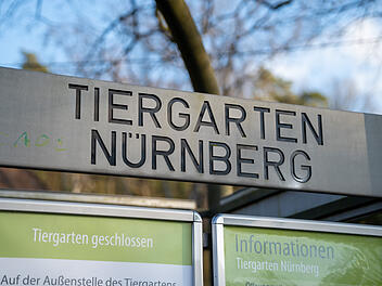 Große Trauer im Nürnberger Tiergarten: Zoo nimmt Abschied von Rekord-Bewohner