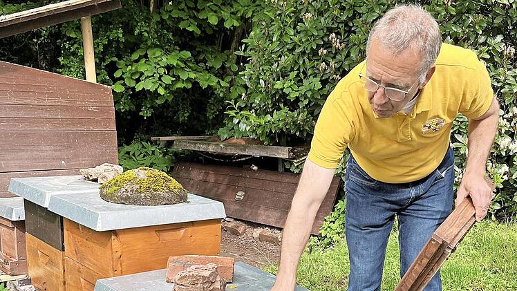 Spannende Einblicke in den Aufbau eines Bienenstocks.