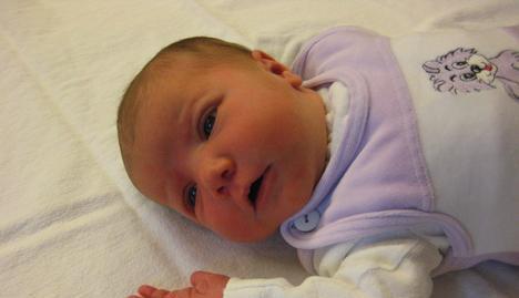 Babygalerie 96