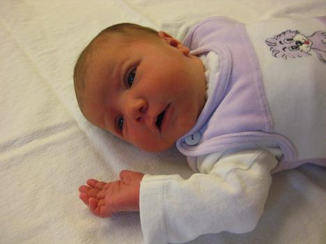 Babygalerie 96