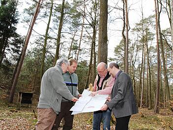 Forstdirektor Hans Schmid, Revierförster Benjamin Göbel und Sachverständiger Jochen Dinter (von links) beurteilen mit Bürgermeister Johannes Krapp (rechts) den Zustand des Stadtwaldes.  Foto: Evi Seeger