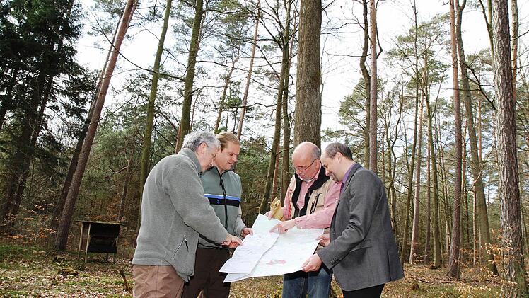 Forstdirektor Hans Schmid, Revierförster Benjamin Göbel und Sachverständiger Jochen Dinter (von links) beurteilen mit Bürgermeister Johannes Krapp (rechts) den Zustand des Stadtwaldes.  Foto: Evi Seeger