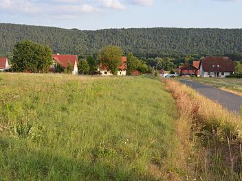 In der Verlängerung der Bergstraße in Steinach soll das neue Baugebiet entstehen.  Foto: Isolde Krapf