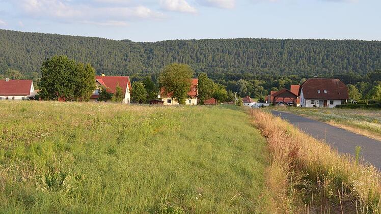In der Verlängerung der Bergstraße in Steinach soll das neue Baugebiet entstehen.  Foto: Isolde Krapf