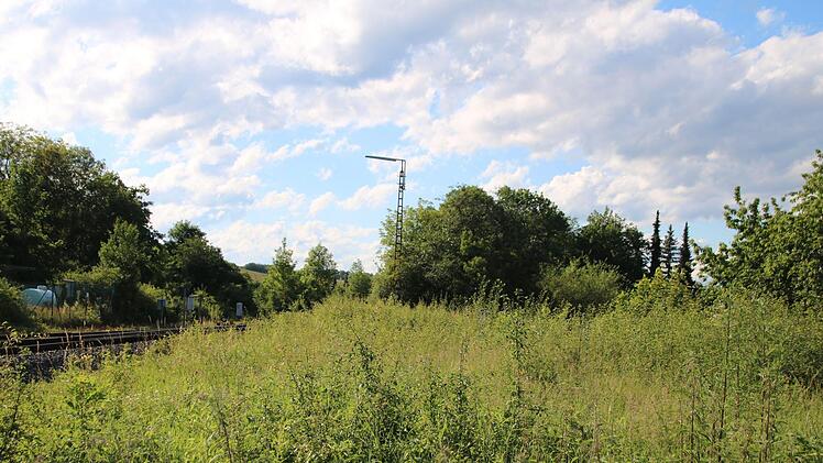 Der hintere Teil des Jägergrundstücks ist zugewachsen. Es reicht bis zur Laterne. Thomas Malz