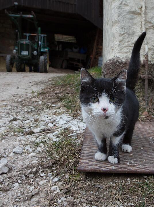 SoS; Neuses-Poxstall; Gemeindeseite; Foto: Barbara Herbst