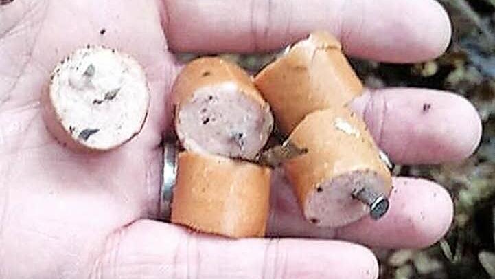 Mit Nagelspitzen gespickt wäre dieses Würstchen für ein Tier, das es gefressen hätte, ein gefährliches Leckerli gewesen. Jetzt hat es die Polizei. Foto: Tierarztpraxis Menger