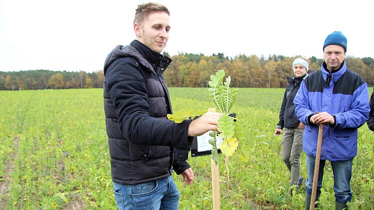 Anton Neumann zog einen Rettich aus dem Boden. Richard Sänger