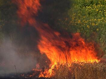 Volkach: Mehrere Hektar großes Getreidefeld in Flammen - Rauchsäule weithin sichtbar