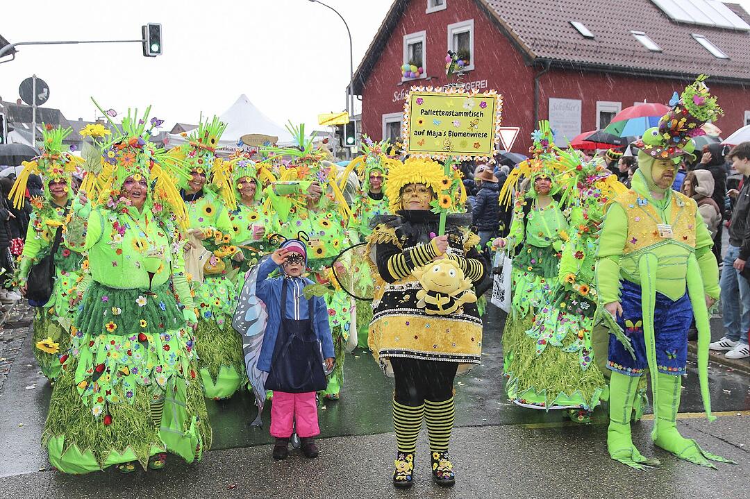 Großer Faschingsumzug  zum Stadtsteinacher Marktplatz