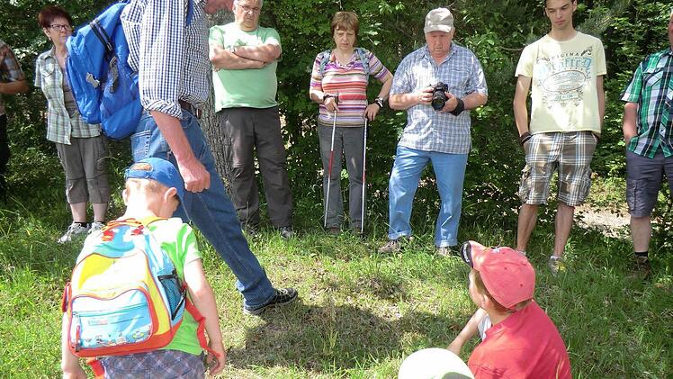 : Halbig erläutert die Wildorchidee "Bocksriemenzunge". Wahrscheinlich hat der unangenehme Geruch ihr diesen Namen gegeben.