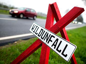 Wildunfall
