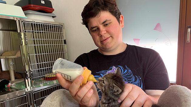 Tierpflegerin Lorena Seethaler zieht Kätzchen mit der Flasche auf. Jetzt kommen wieder vermehr kleine Katzen mit und ohne Mama. Der Platz ist aber sehr beschränkt. Deshalb sucht das Team erfahrende Pflegestellen. Foto: Thomas Malz