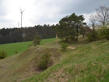Der frühere Steinbruch bei Weickenbach gehört zu den Kartierungsflächen im Gebiet der Bruchschollenkuppen.Rainer Lutz