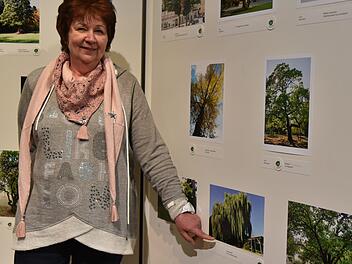 Die Trauerweide im Dr.-Eux-Stocke-Stadion fasziniert Petra Junk und deswegen hat sie diese fotografiert und eine Geschichte dazu erzählt.Gabi Arnold