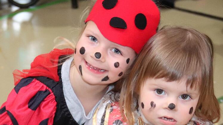 Impressionen vom Höchstadter Kinderfasching     Foto: Johanna Blum