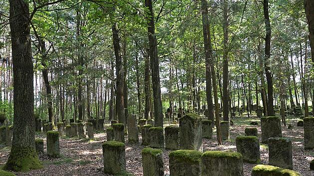 Die Besichtigung des j&uuml;dischen Friedhofs in Zeckern ist Teil der Exkursion. Foto: Harald Weigand