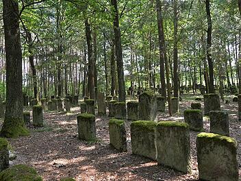 Die Besichtigung des jüdischen Friedhofs in Zeckern ist Teil der Exkursion. Foto: Harald Weigand