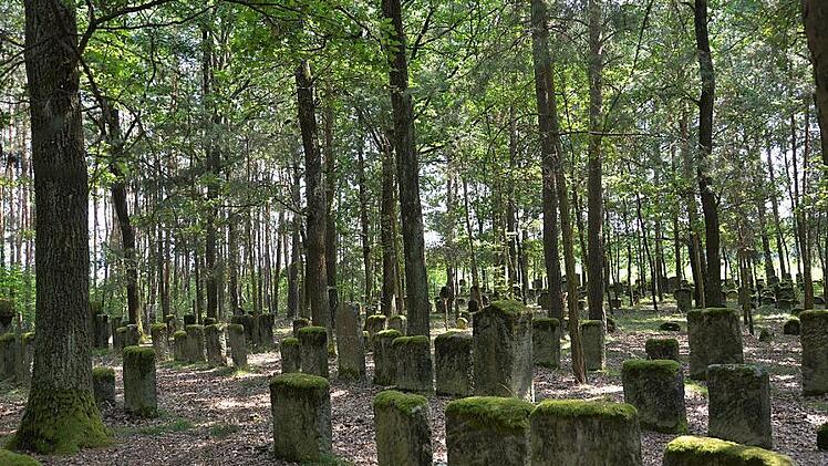 Die Besichtigung des jüdischen Friedhofs in Zeckern ist Teil der Exkursion. Foto: Harald Weigand