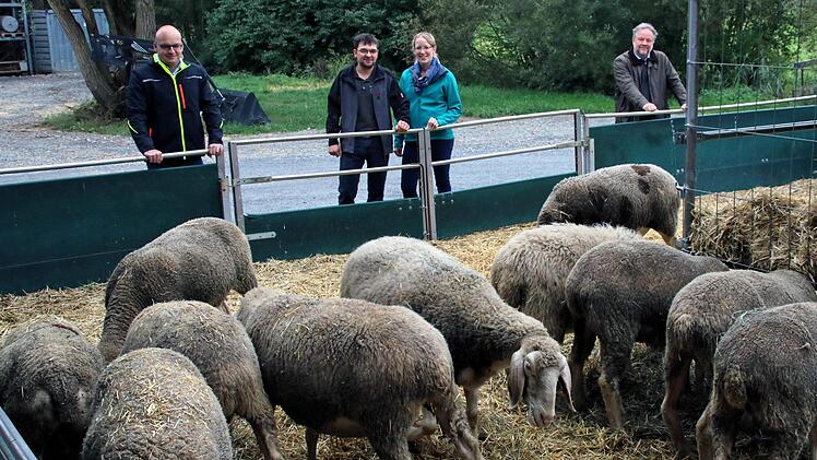 Auch Merino-Schafe hält Andreas Schlembach (2. von links) auf seinem  Demonstrationsbetrieb "ökologischer Landbau". Rechts neben ihm seine Frau  Anna. Es gratulierten Bürgermeister Michael Kastl,  (links) und Thomas Kollritsch  von der Koordinationsstelle Demonstrationsbetriebe ökologischer Landbau (rechts).  Foto: Dieter Britz