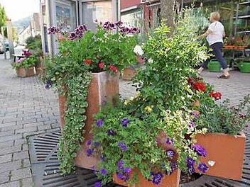 Die Blumentöpfe dürfen hier nicht mehr stehen. Foto: Arkadius Guzy