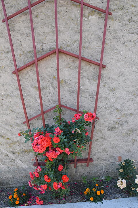Unser Dorf hat Zukunft