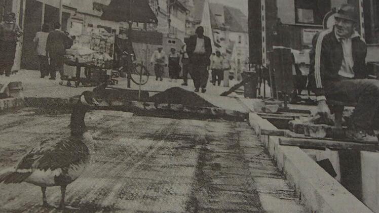 Archivbild: Grün