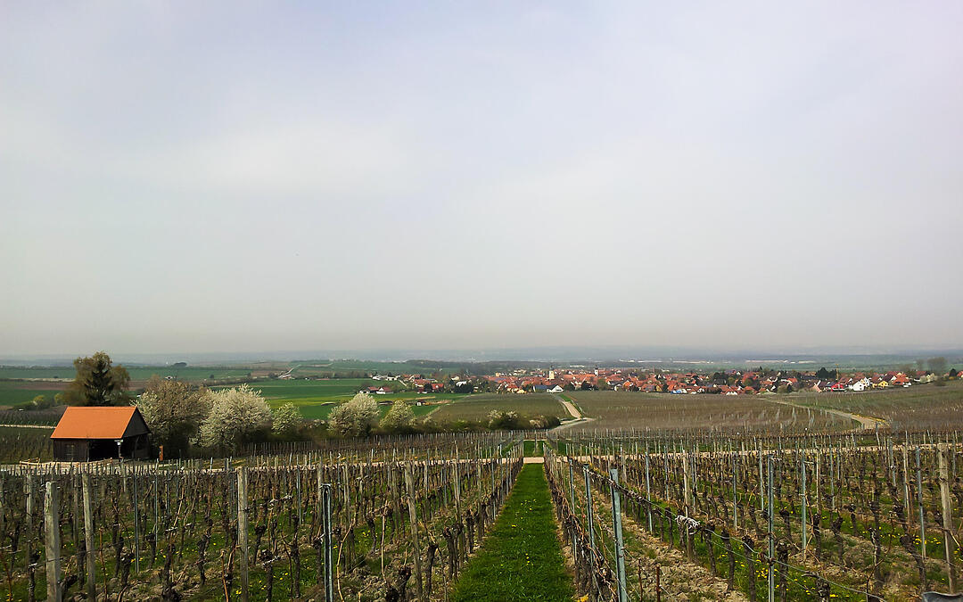 Fotos Konrad Thomann