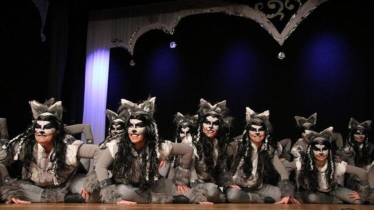 Prunksitzung 2019 in Stadtsteinach. Foto: Jürgen Gärtner