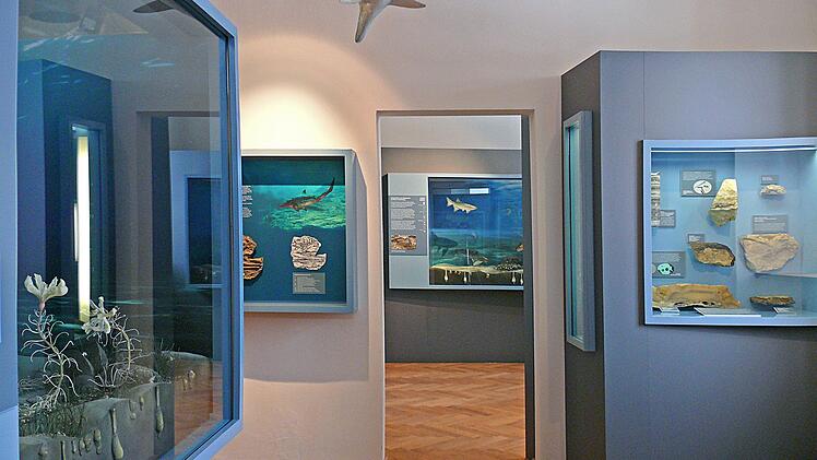 Museum, Museen, Ausflug, Erlebnis, Urzeit, Terra, Tiassica, Unterfranken, Urzeitmuseum, Vergangenheit, Geschichte, Familie, Familienausflug