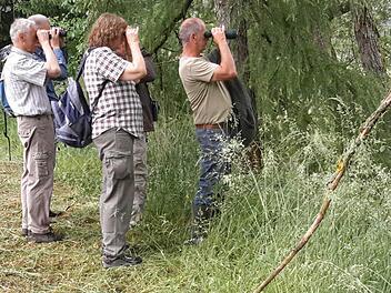 Exkursion im Sinntal: Unverzichtbar bei jeder Naturbeobachtung ist das Fernglas. Schließlich soll auch das kleinste Detail in Augenschein genommen werden. Foto: Rolf Pralle