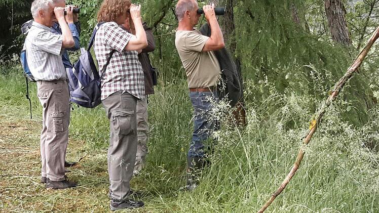 Exkursion im Sinntal: Unverzichtbar bei jeder Naturbeobachtung ist das Fernglas. Schließlich soll auch das kleinste Detail in Augenschein genommen werden. Foto: Rolf Pralle