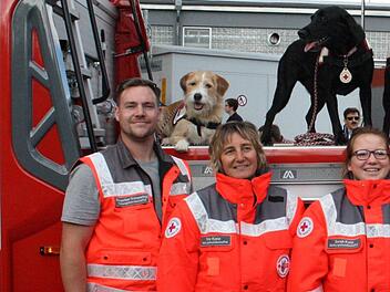 Helden der Nacht (von links): Sebastian Schwering mit Leni und Elke und Sarah Kunz mit Cleo gehören zur BRK Rettungshundestaffel Coburg. Bei einem Einsatz in Bamberg fanden die Hunde einen vermissten Rollstuhlfahrer. Foto: privat