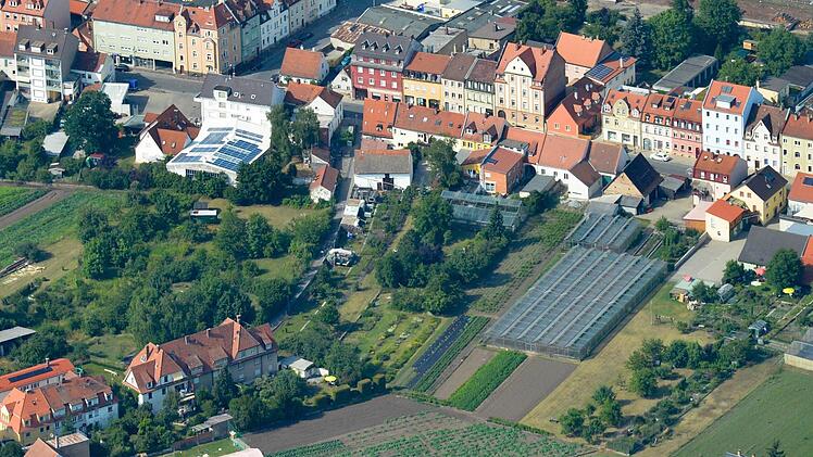 Nur ein kleiner Ausschnitt des insgesamt 3,6 Hektar großen Areals; leicht links im Bild zu sehen ist die Plattengasse.  Fotos: Ronald Rinklef