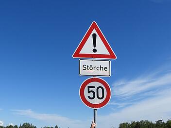 Landratsamt Hof bittet Autofahrer um Vorsicht wegen St&ouml;rchen